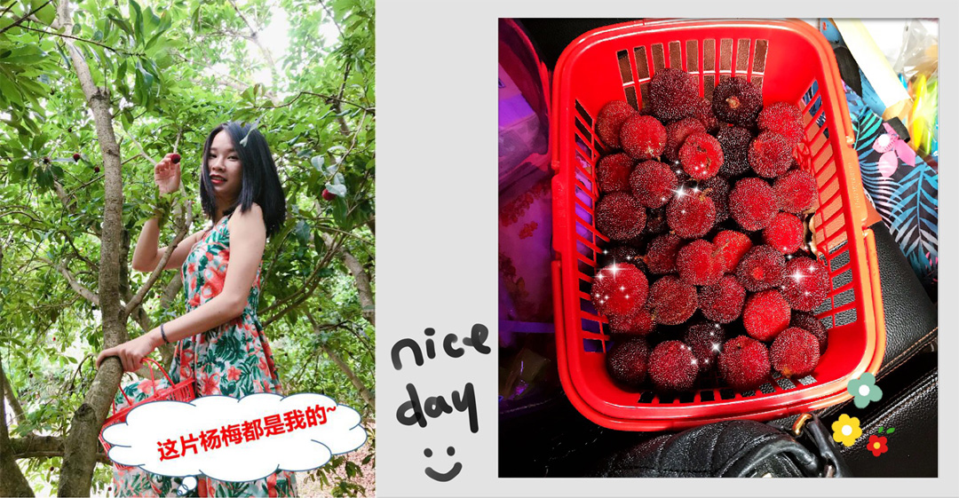 5d1f041f4bdf4.jpg 11.jpg